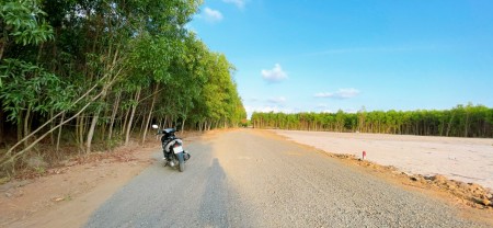 Chống dịch covid, ngộp bán nhanh dt 1300m2 đất ở sân bay lộc an, đối diện kcn đất đỏ