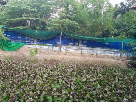 Đi đến slide 13