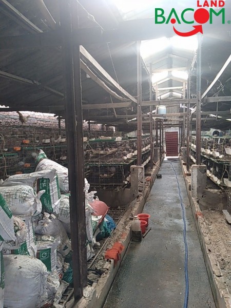 Bán đất vuông vức KP2 phường Trảng Dài, đường 2 ôtô 460m2, SHR Giá 4.1 tỷ