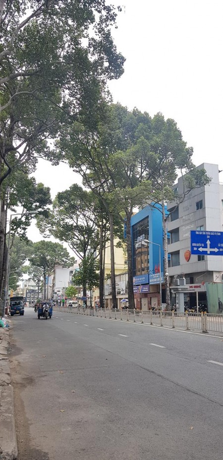 Cần bán nhà đang kinh doanh CHDV đường Trần Hưng Đạo, Quận 5, 7 tầng, dt 155m2, giá 38 tỷ