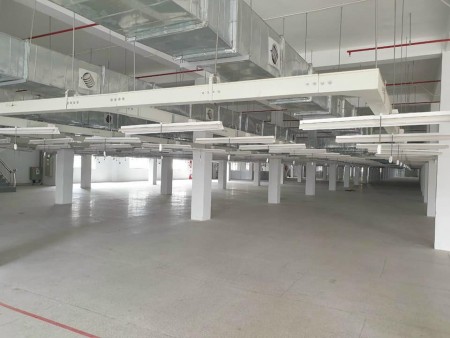 Cho thuê nhà xưởng diện tích sử dụng 1000m2 đường Bình Trị Đông A, Quận Bình Tân