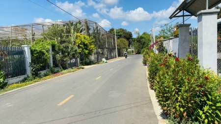 Anh em gửi bán lô đất tại Mỹ Xuân, Phú Mỹ diện tích 300m2, liên hệ 0906610056