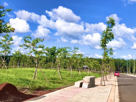 Đi đến slide 5