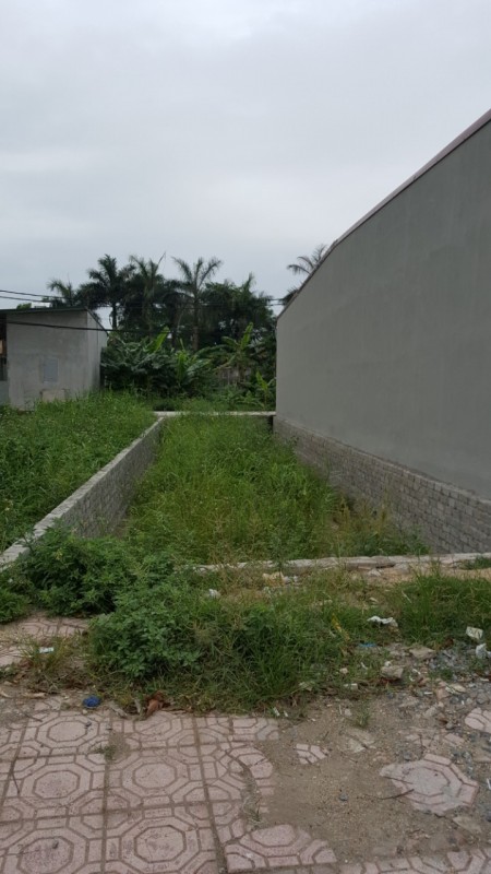 Bán đất Đại Ánh, ô tô vào nhà ngõ nong thoáng mt 4.5m, dt 56m2, giá 1.6 tỷ