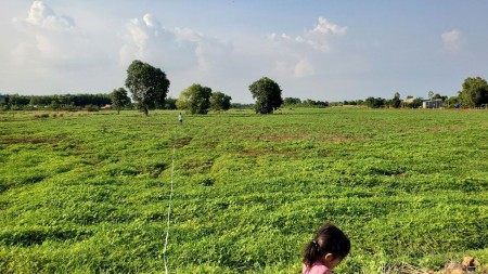 Không quản lí được cần bán nhanh lô đất 1000m2, đối diện khu công nghiệp đất đỏ