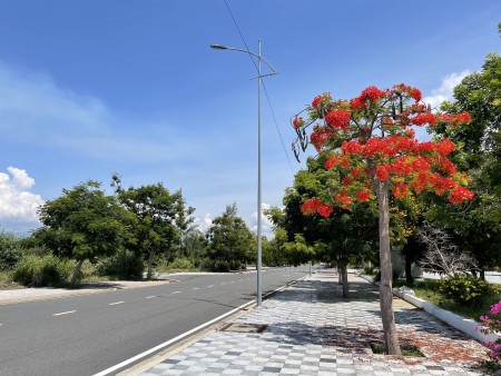 Đi đến slide 3