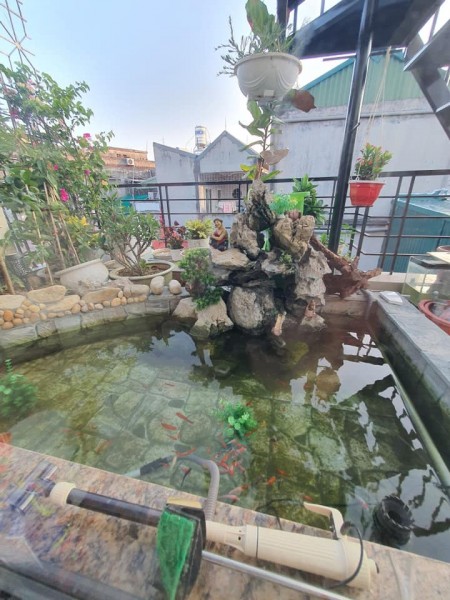Đi đến slide 6