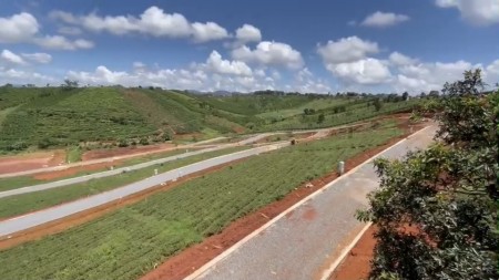 Đi đến slide 4