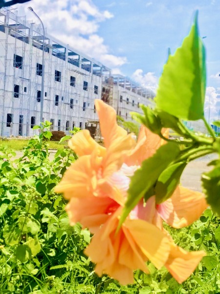 Đi đến slide 4