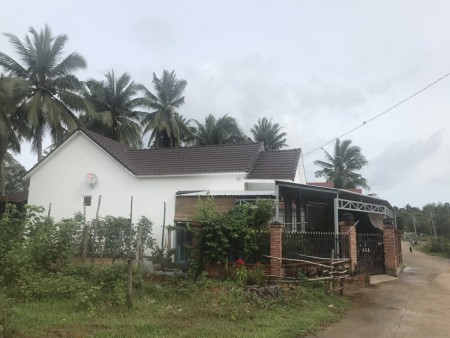 Đi đến slide 7