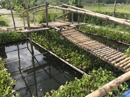 Đi đến slide 7