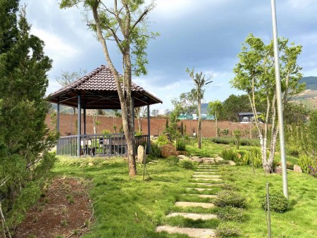 Đi đến slide 5