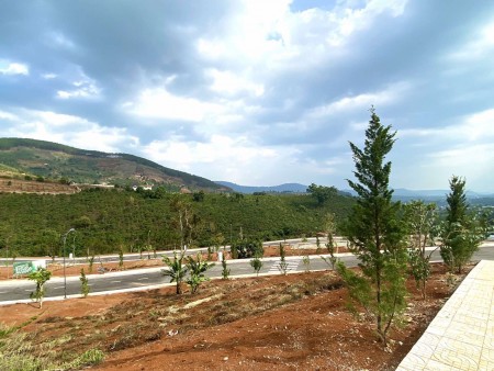 Đi đến slide 7