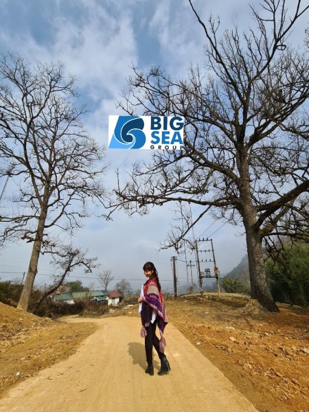 Đi đến slide 2