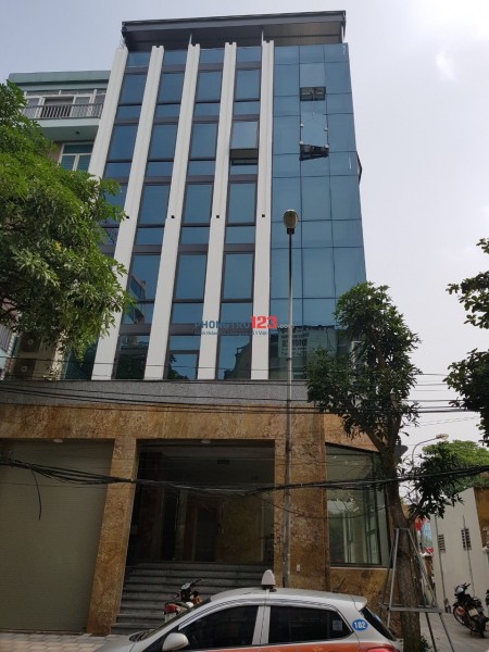 Bán nhà Mặt Phố Lê Thanh Nghị, Thang Máy Nhập Khẩu. 75m x 6 tầng.