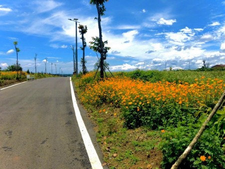 Đi đến slide 3