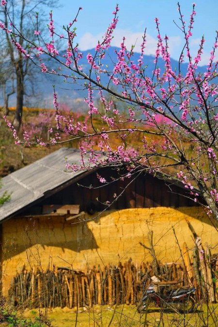 Mảnh đất Y Tý- Sapa 2, vị trí siêu đẹp làm du lịch nghỉ dưỡng 4 mùa