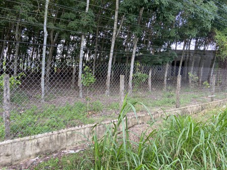 Đất nền Lộc Khê – Trảng Bàng giá chỉ 210 triệu thương lượng cho quý khách hàng thiện chí)