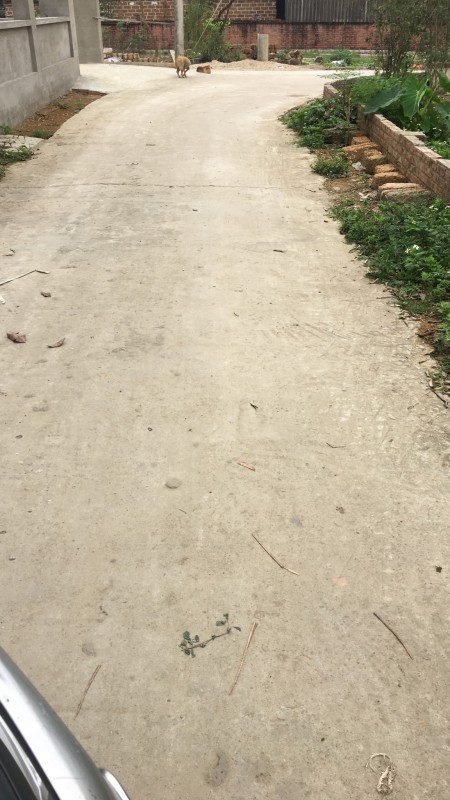 Cần tiền bán cắt lỗ thửa đất diện tích 115m2, thôn 7 Tân Xã, giá gốc bao sang tên