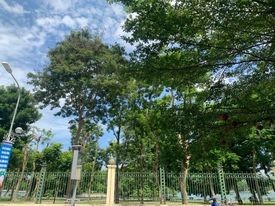 Bán nhà nguyên căn mặt tiền Nguyễn Đĩnh Chiểu, diện tích 133m2, giá chỉ 68 tỷ