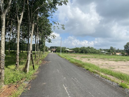 Đất nền đầu tư giá rẻ sỗ sẵn thổ cư dt 100m2 sang tên công chứng trong ngày