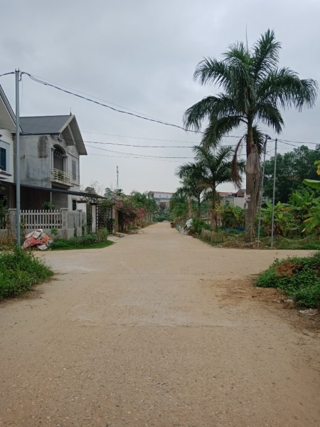 Cần bán đất khu MuZin Tiên Kiên, Lâm Thao tỉnh Phú Thọ, giá tốt