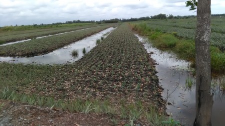 Đi đến slide 2