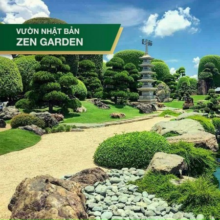 Đi đến slide 6