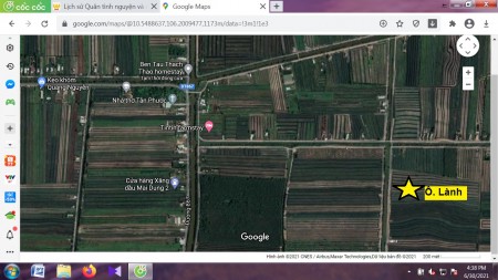 Chính chủ bán lô đất 8 ha, đang trồng khóm tại Xã Thạnh Mỹ, huyện Tân Phước, Tiền Giang