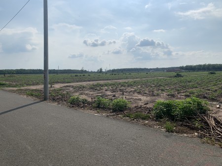 Chính chủ cần bán 4200m2, giá 520 triệu/sổ đường Tỉnh Lộ, gần trung tâm hành chính, đầu tư sinh lời