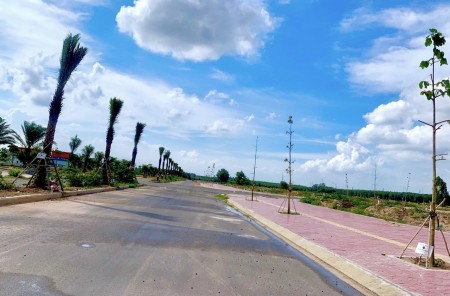 Đi đến slide 6