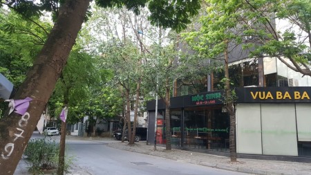Bán Biệt Thự Rẻ Giật Mình KĐT Xa La, Hà Đông, Diện Tích Khủng, Mặt Tiền Khủng.