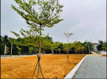 Duy nhất 1 lô nằm trên trục đường bãi dài rộng 50m, đối diện khu C xanh vilas
