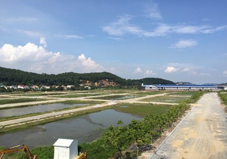 Cần tiền bán rẻ mảnh đất tại khu đô thị Thành Công, giá thoả thuận chính chủ