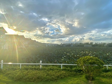 Đi đến slide 12