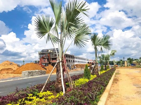 Đi đến slide 2