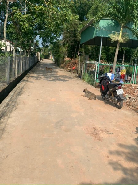 Chính chủ gửi bán lô đất ngay Tân An, khu dân cư đông đúc, vị trí đẹp