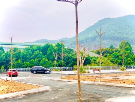 Đi đến slide 7