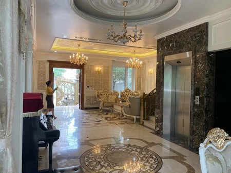 Cho thuê biệt thự nội thất đẹp khu Vinhomes Gia Lâm, bàn giao ở ngay