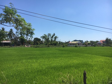 Cần tiền bán gấp lô đất gần đường ĐT 605, đầy đủ tiện ích, hướng Đông mát mẻ, sẵn sổ đỏ