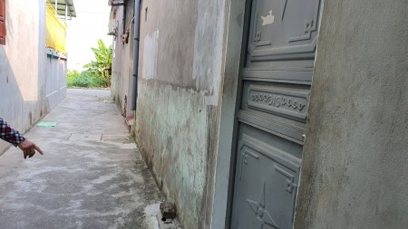 Đi đến slide 4