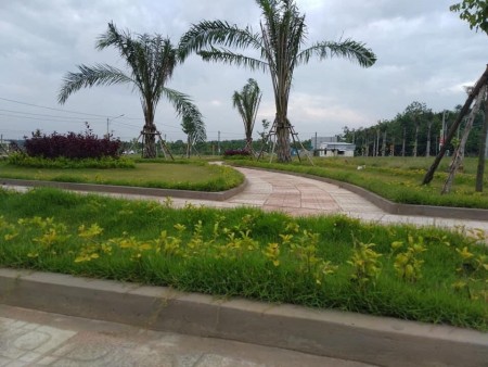 Còn vài suất đất thổ cư, có sổ hồng ngay thị xã Bến Cát, có sẵn sổ đỏ