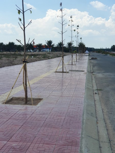 Đi đến slide 5