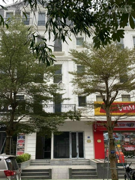Concept sản phẩm nhà Liền kề “Rừng trong Phố” giữa lòng Hà Nội, giá bán 33 tỷ