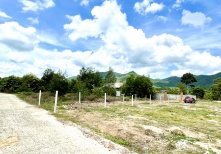 Chính chủ bán 1000m2 đất sào châu pha, gần trường mầm non Châu Pha, sổ riêng