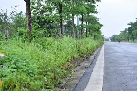 Đi đến slide 4