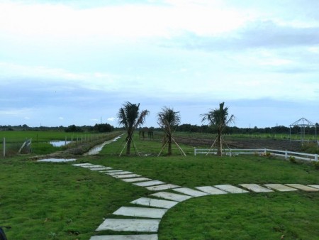 Đi đến slide 2