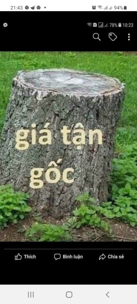 Đi đến slide 3