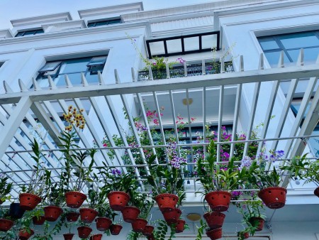 Cần bán biệt thự lô góc khu đô thị Mỹ Đình 1, kiến trúc nhà đẹp, giá bán 23.5 tỷ