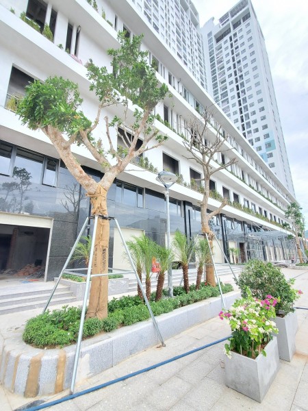 Đi đến slide 4